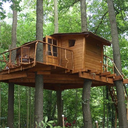 Treehouse V Brdech Βίλα Bohutín Εξωτερικό φωτογραφία