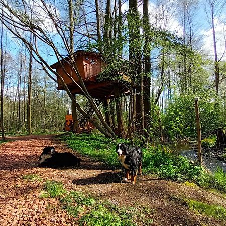 Treehouse V Brdech Βίλα Bohutín Εξωτερικό φωτογραφία