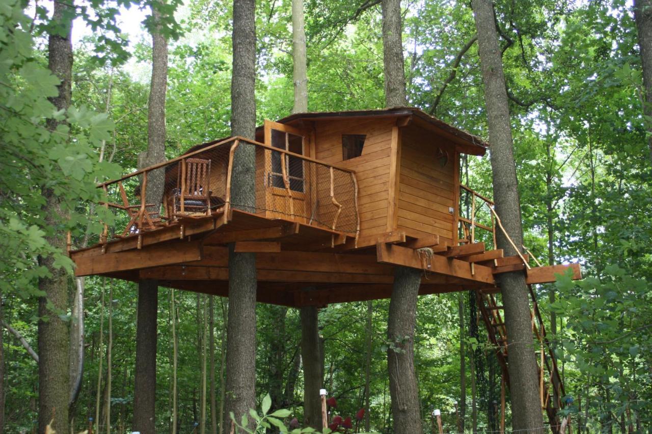 Treehouse V Brdech Βίλα Bohutín Εξωτερικό φωτογραφία
