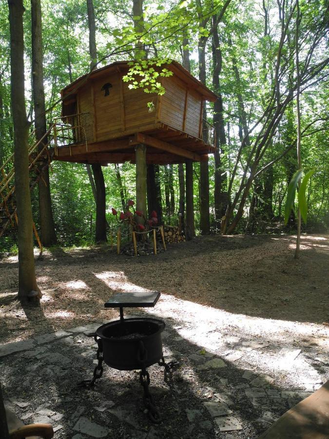 Treehouse V Brdech Βίλα Bohutín Εξωτερικό φωτογραφία
