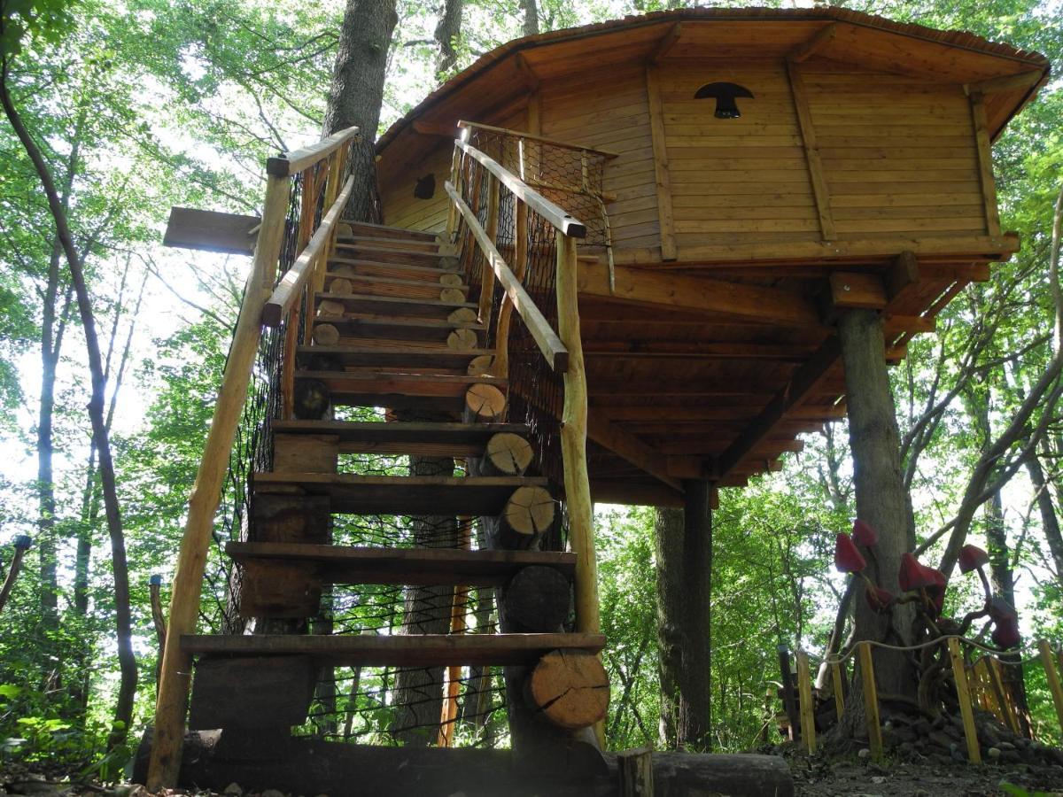 Treehouse V Brdech Βίλα Bohutín Εξωτερικό φωτογραφία