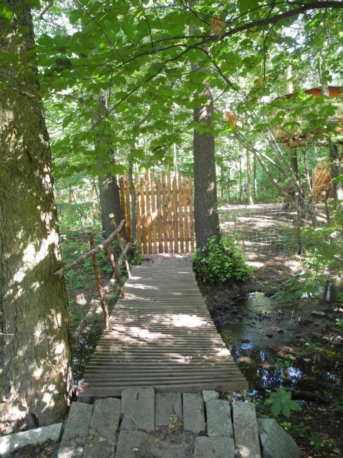 Treehouse V Brdech Βίλα Bohutín Εξωτερικό φωτογραφία
