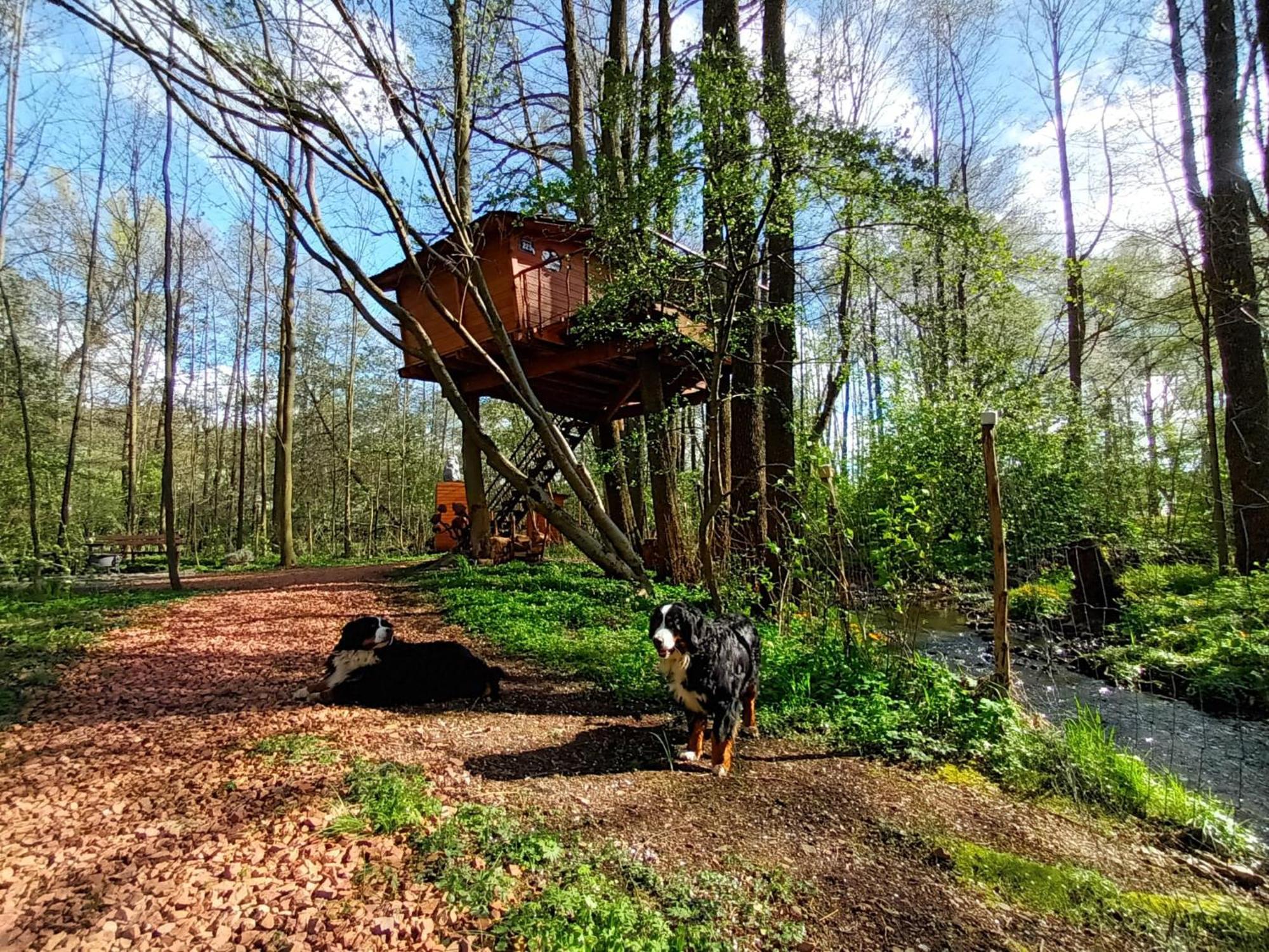 Treehouse V Brdech Βίλα Bohutín Εξωτερικό φωτογραφία